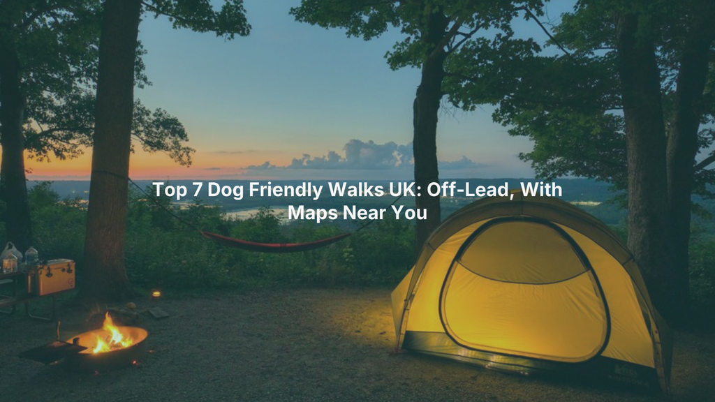 Top 7 Dog Friendly Walks UK: Off-Lead, With Maps Near You